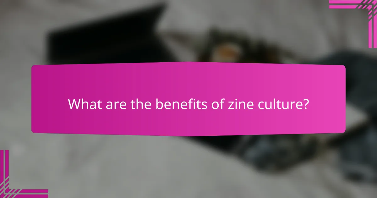 What are the benefits of zine culture?